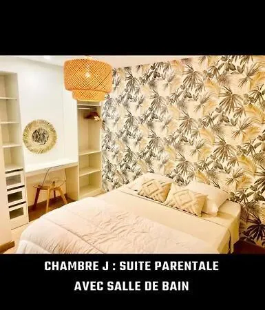 Villa Maison Piscine Pres Bordeaux Ambares-et-Lagrave
