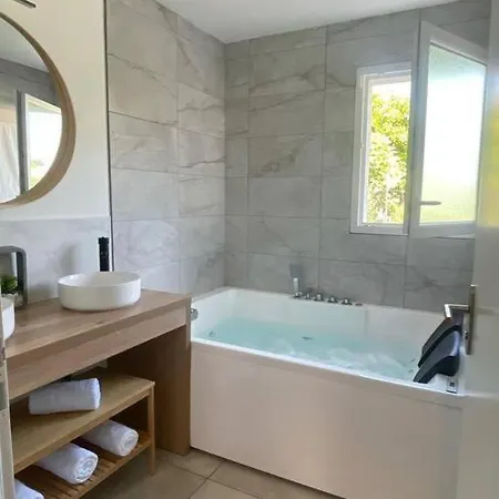 Maison Piscine Pres Bordeaux Villa Ambares-et-Lagrave